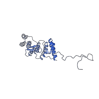 37477_8wej_D_v1-0
Structure of human phagocyte NADPH oxidase in the activated state
