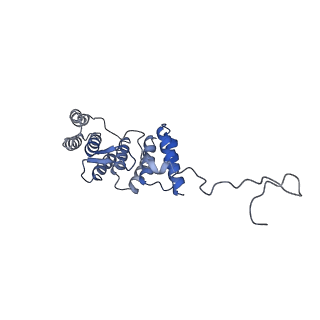 37477_8wej_D_v1-2
Structure of human phagocyte NADPH oxidase in the activated state