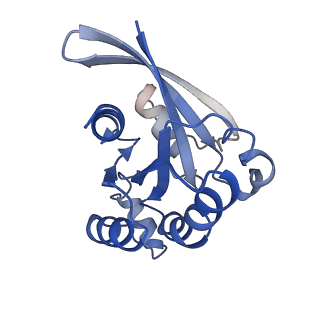 37477_8wej_E_v1-0
Structure of human phagocyte NADPH oxidase in the activated state