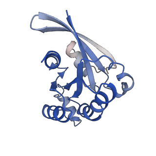 37477_8wej_E_v1-2
Structure of human phagocyte NADPH oxidase in the activated state