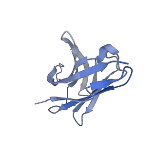 37477_8wej_H_v1-2
Structure of human phagocyte NADPH oxidase in the activated state