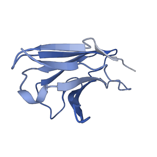 37477_8wej_L_v1-2
Structure of human phagocyte NADPH oxidase in the activated state