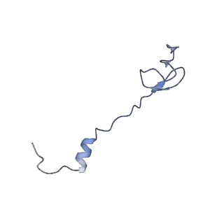 8814_5we4_0_v1-3
70S ribosome-EF-Tu wt complex with GppNHp