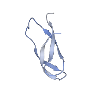 8814_5we4_1_v1-3
70S ribosome-EF-Tu wt complex with GppNHp