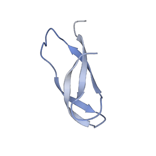 8814_5we4_1_v2-2
70S ribosome-EF-Tu wt complex with GppNHp