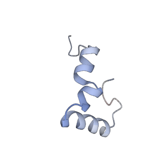 8814_5we4_2_v1-3
70S ribosome-EF-Tu wt complex with GppNHp