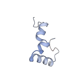 8814_5we4_2_v2-1
70S ribosome-EF-Tu wt complex with GppNHp