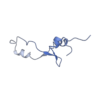 8814_5we4_3_v1-3
70S ribosome-EF-Tu wt complex with GppNHp