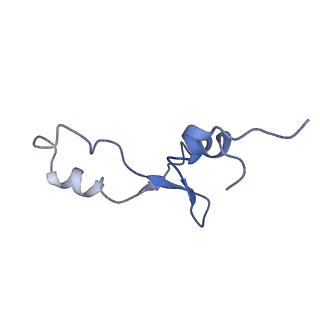 8814_5we4_3_v2-2
70S ribosome-EF-Tu wt complex with GppNHp