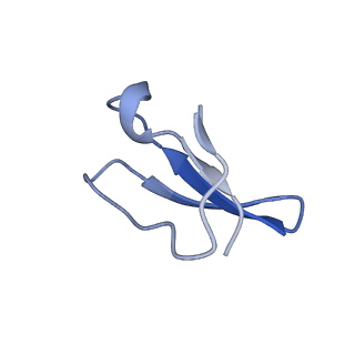 8814_5we4_4_v1-3
70S ribosome-EF-Tu wt complex with GppNHp
