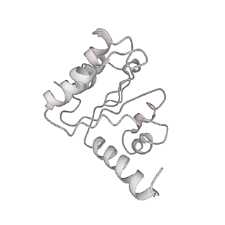 8814_5we4_5_v1-3
70S ribosome-EF-Tu wt complex with GppNHp