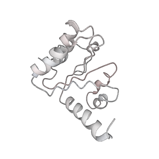 8814_5we4_5_v2-2
70S ribosome-EF-Tu wt complex with GppNHp