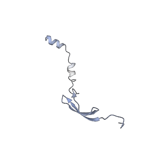 8814_5we4_6_v1-3
70S ribosome-EF-Tu wt complex with GppNHp