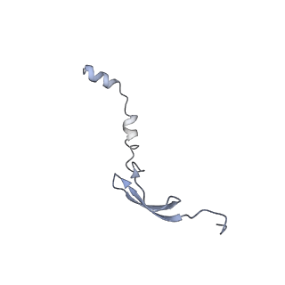 8814_5we4_6_v2-2
70S ribosome-EF-Tu wt complex with GppNHp