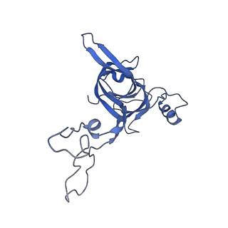 8814_5we4_D_v1-3
70S ribosome-EF-Tu wt complex with GppNHp