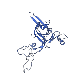 8814_5we4_D_v2-2
70S ribosome-EF-Tu wt complex with GppNHp