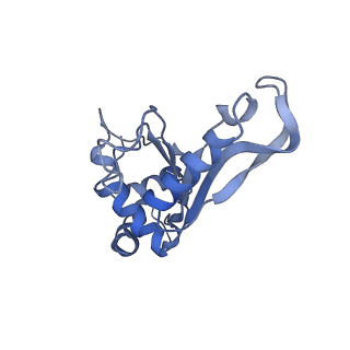 8814_5we4_F_v1-3
70S ribosome-EF-Tu wt complex with GppNHp