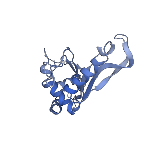 8814_5we4_F_v2-1
70S ribosome-EF-Tu wt complex with GppNHp
