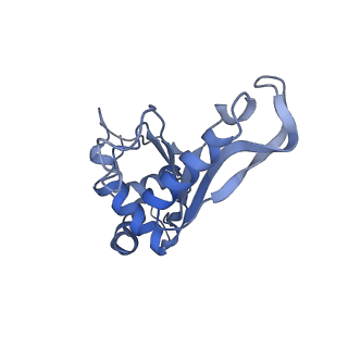 8814_5we4_F_v2-2
70S ribosome-EF-Tu wt complex with GppNHp