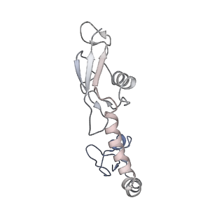 8814_5we4_H_v1-3
70S ribosome-EF-Tu wt complex with GppNHp