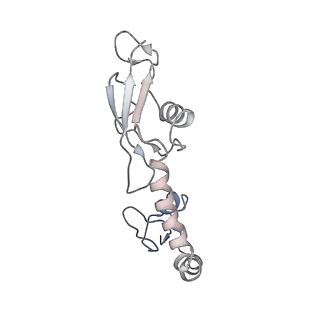 8814_5we4_H_v2-1
70S ribosome-EF-Tu wt complex with GppNHp