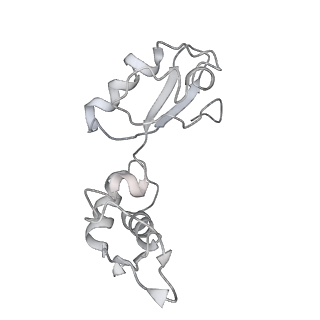 8814_5we4_I_v2-1
70S ribosome-EF-Tu wt complex with GppNHp