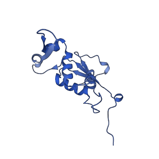 8814_5we4_J_v1-3
70S ribosome-EF-Tu wt complex with GppNHp