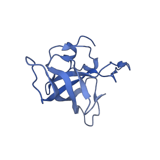 8814_5we4_K_v1-3
70S ribosome-EF-Tu wt complex with GppNHp