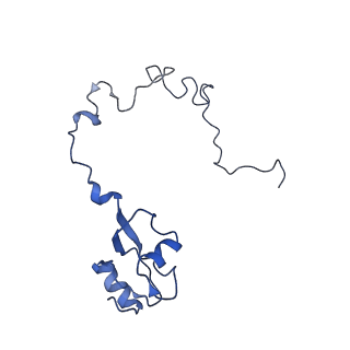 8814_5we4_L_v2-2
70S ribosome-EF-Tu wt complex with GppNHp