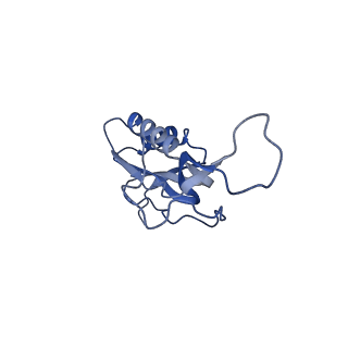 8814_5we4_M_v2-2
70S ribosome-EF-Tu wt complex with GppNHp