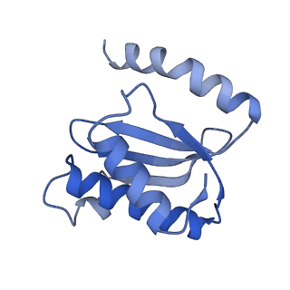 8814_5we4_O_v1-3
70S ribosome-EF-Tu wt complex with GppNHp