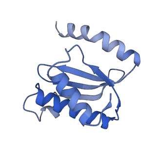 8814_5we4_O_v2-2
70S ribosome-EF-Tu wt complex with GppNHp