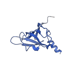 8814_5we4_P_v1-3
70S ribosome-EF-Tu wt complex with GppNHp