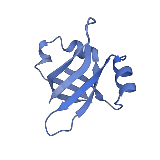 8814_5we4_V_v1-3
70S ribosome-EF-Tu wt complex with GppNHp