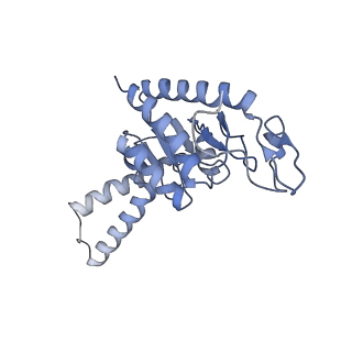 8814_5we4_b_v1-3
70S ribosome-EF-Tu wt complex with GppNHp