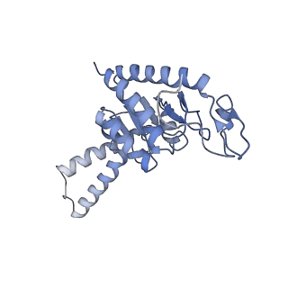 8814_5we4_b_v2-1
70S ribosome-EF-Tu wt complex with GppNHp