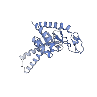 8814_5we4_b_v2-2
70S ribosome-EF-Tu wt complex with GppNHp