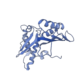 8814_5we4_c_v1-3
70S ribosome-EF-Tu wt complex with GppNHp