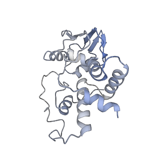 8814_5we4_d_v2-1
70S ribosome-EF-Tu wt complex with GppNHp