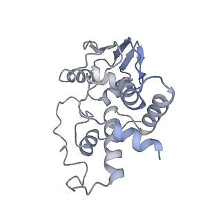 8814_5we4_d_v2-2
70S ribosome-EF-Tu wt complex with GppNHp