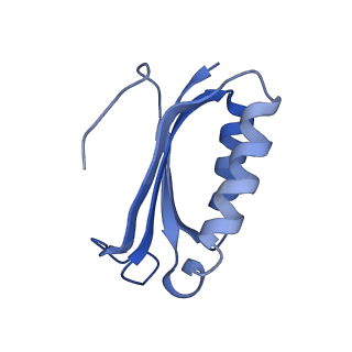 8814_5we4_f_v1-3
70S ribosome-EF-Tu wt complex with GppNHp