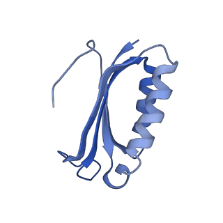 8814_5we4_f_v2-2
70S ribosome-EF-Tu wt complex with GppNHp