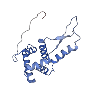 8814_5we4_g_v1-3
70S ribosome-EF-Tu wt complex with GppNHp
