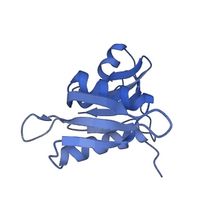8814_5we4_h_v1-3
70S ribosome-EF-Tu wt complex with GppNHp