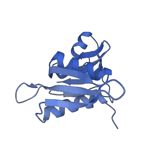 8814_5we4_h_v2-2
70S ribosome-EF-Tu wt complex with GppNHp