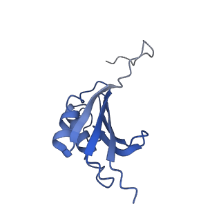 8814_5we4_k_v2-2
70S ribosome-EF-Tu wt complex with GppNHp