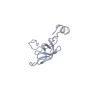 8814_5we4_l_v1-3
70S ribosome-EF-Tu wt complex with GppNHp