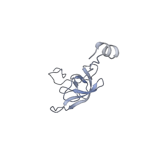 8814_5we4_l_v2-2
70S ribosome-EF-Tu wt complex with GppNHp