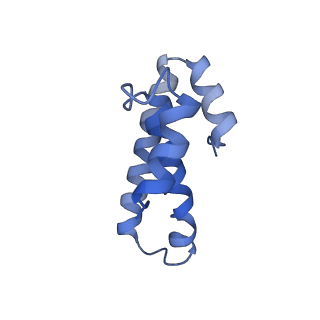 8814_5we4_o_v1-3
70S ribosome-EF-Tu wt complex with GppNHp