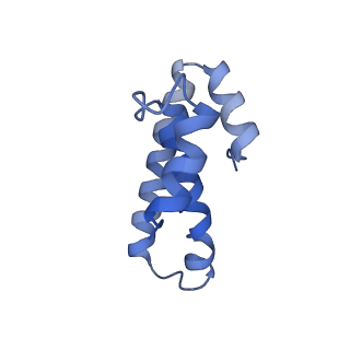 8814_5we4_o_v2-1
70S ribosome-EF-Tu wt complex with GppNHp